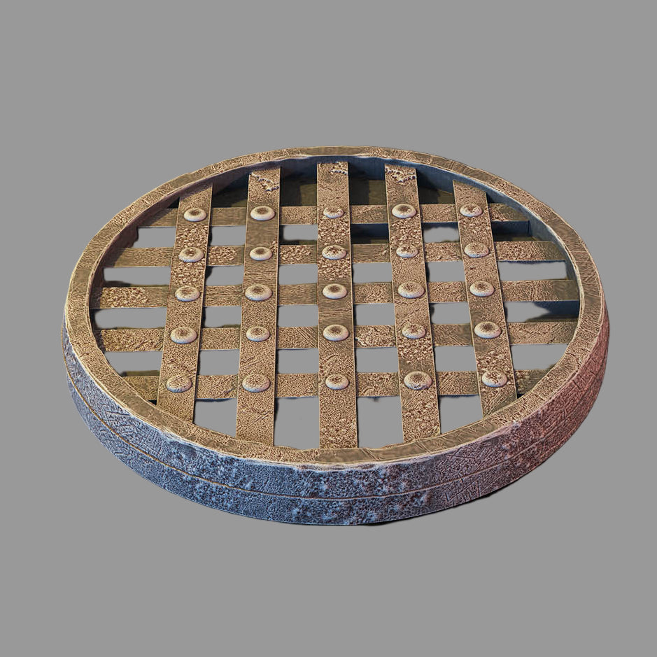 Environmental Hazards