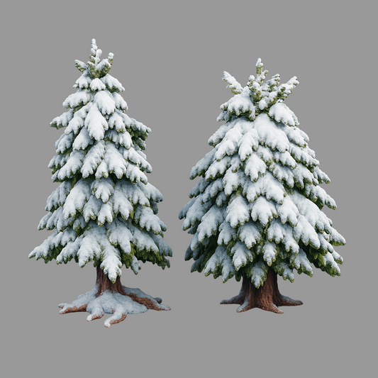 Winter Pine Trees
