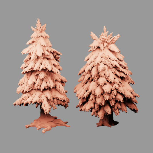 Winter Pine Trees