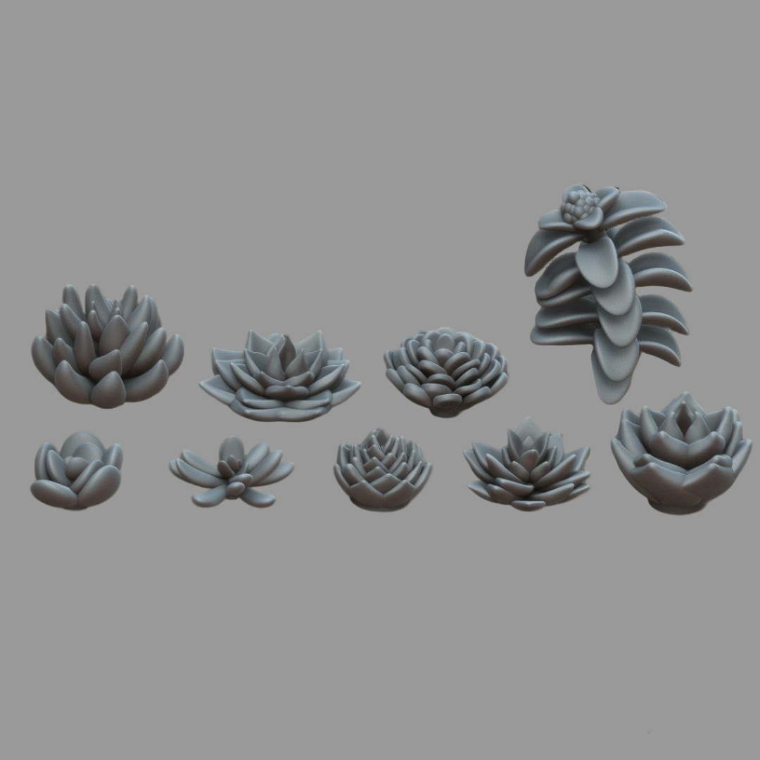 Succulents