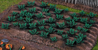 Crop Fields